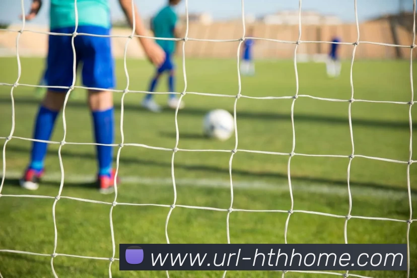 华体会APP 封面图